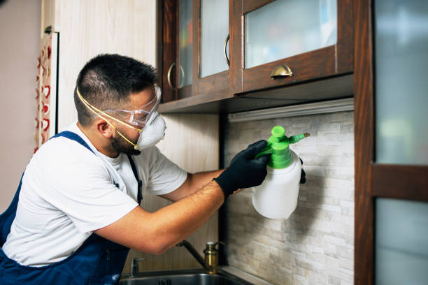 Best Cockroach Control Services  in Elon, NC