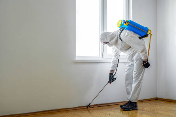 Best Best Pest Control Companies  in Elon, NC