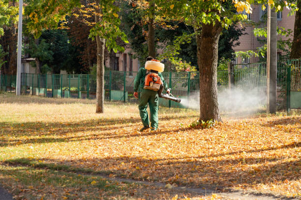 Best Flea Control Services  in Elon, NC